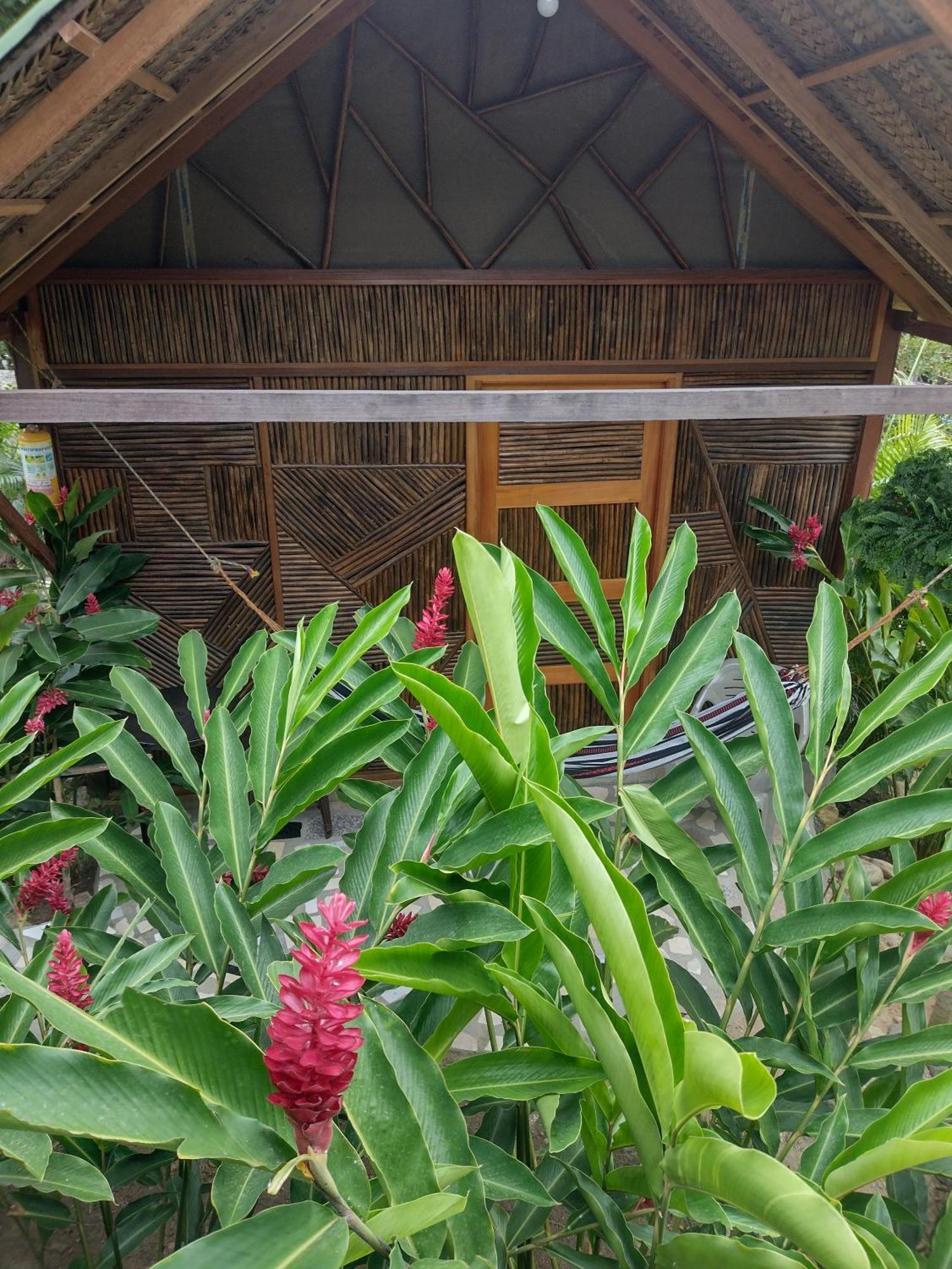 Villa Casa Kumake Tayrona à El Zaino Extérieur photo