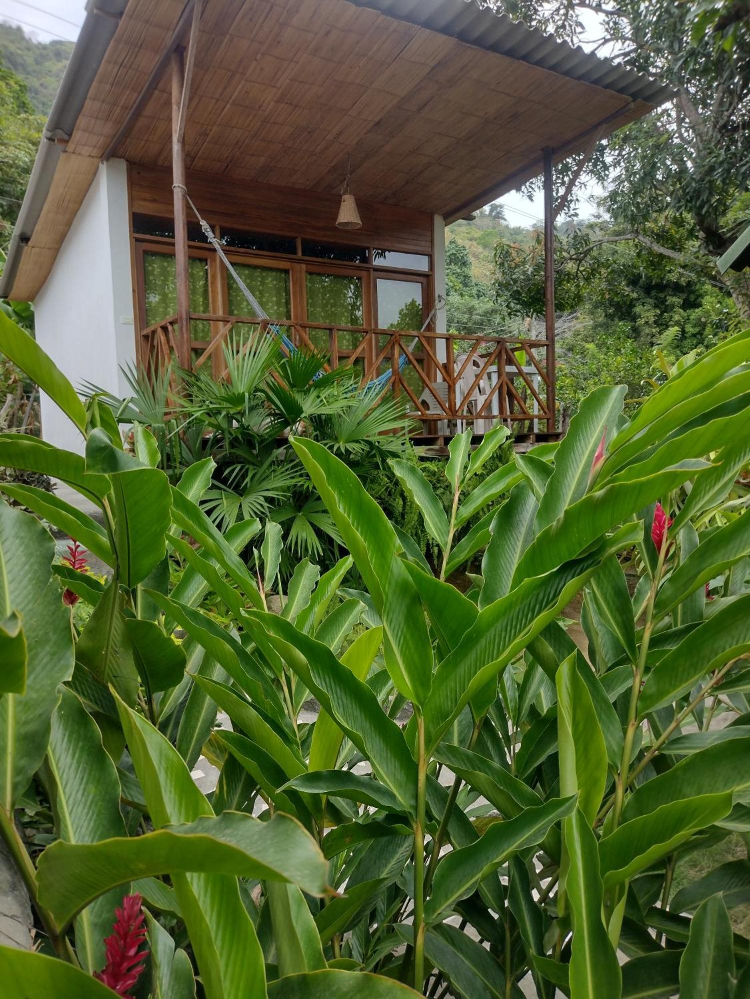 Villa Casa Kumake Tayrona à El Zaino Extérieur photo